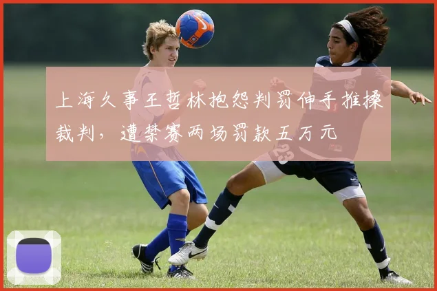 上海久事王哲林抱怨判罚伸手推搡裁判，遭禁赛两场罚款五万元